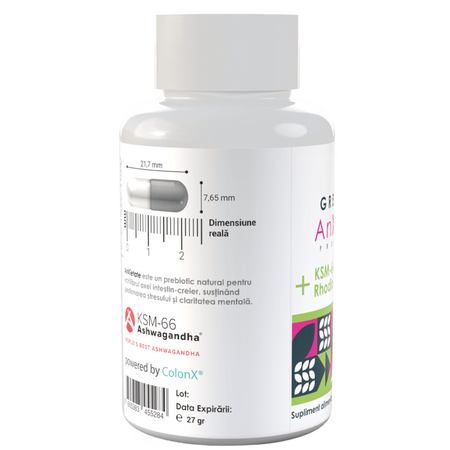 Prebiotic Anxietate, 60 capsule, Greenbiom 738088