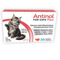 Antinol Plus pentru pisici, 30 capsule, Pharmalink International