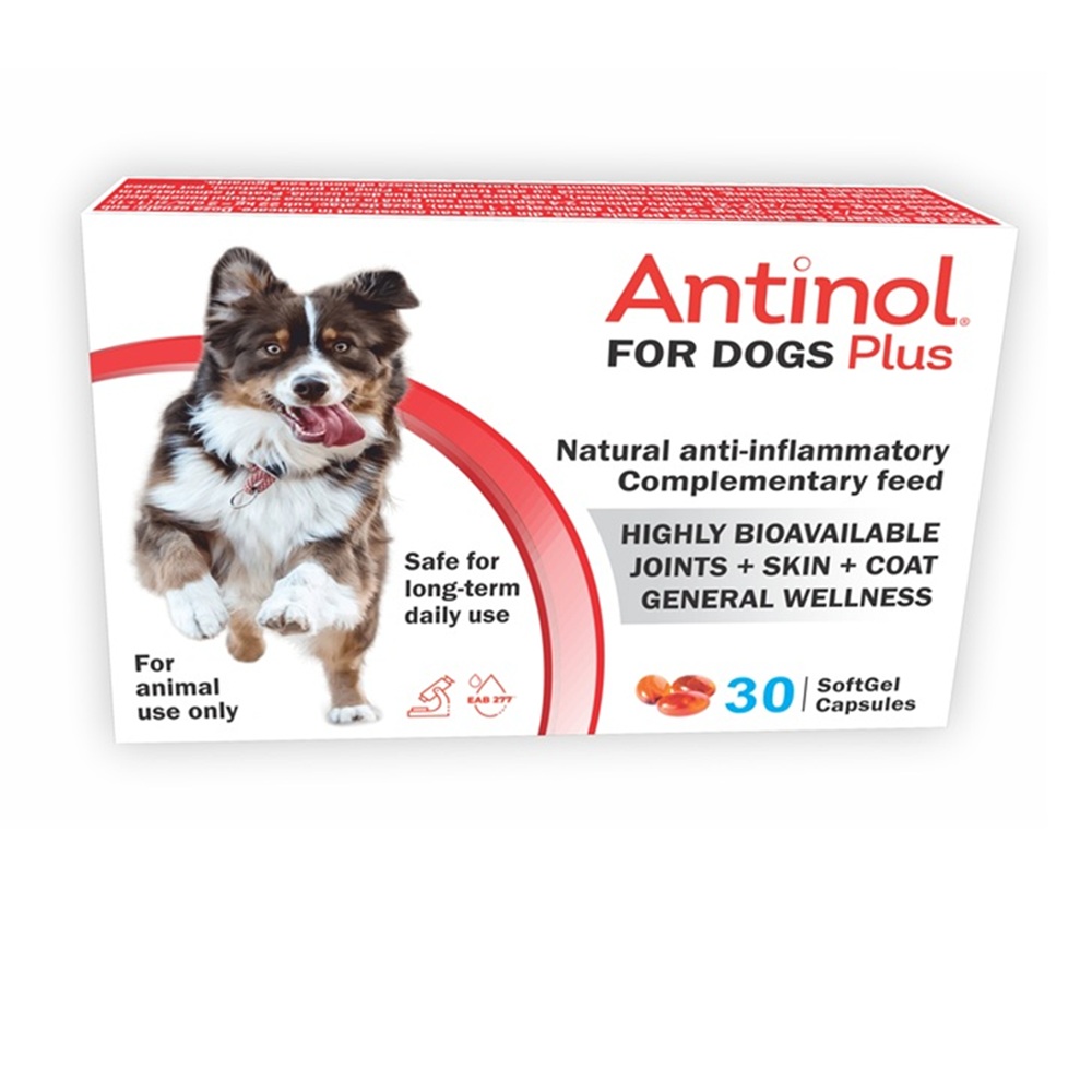 Antinol Plus pentru caini, 30 capsule, Pharmalink International