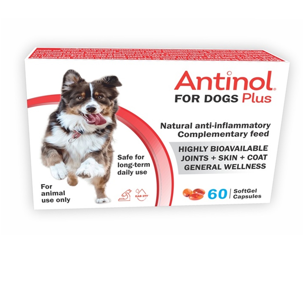 Antinol Plus pentru caini, 60 capsule, Pharmalink International