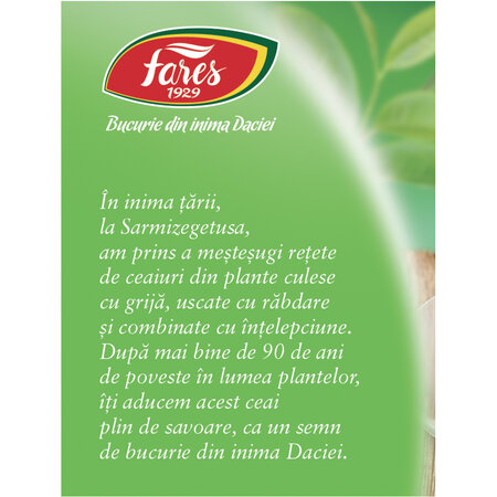 Ceai verde cu menta, 20 plicuri, Fares  623938