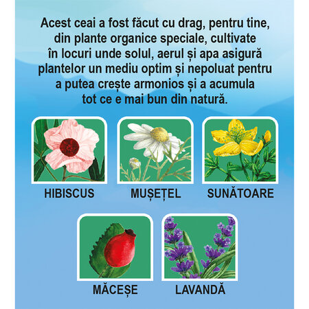 Ceai Bio antistres N173, 20 plicuri, Fares 701536