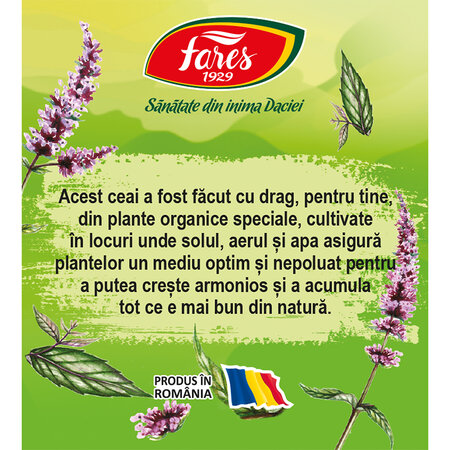 Ceai Bio de menta, 20 plicuri, Fares 701378