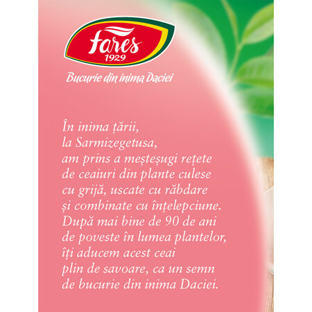 Ceai verde cu fructe de padure, 20 plicuri, Fares 701278