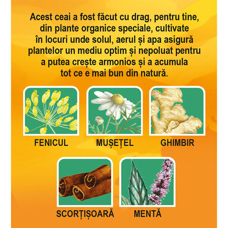 Ceai Bio Digestie Usoara D160, 20 plicuri, Fares 701680