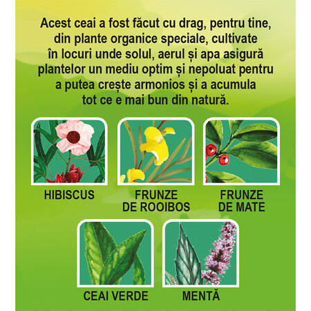 Ceai Bio Energie, 20 plicuri, Fares 701692