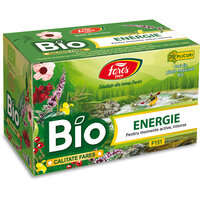 Ceai Bio Energie, 20 plicuri, Fares