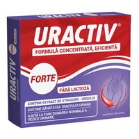 Uractiv Forte fara lactoza, 10 capsule, Terapia