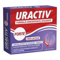 Uractiv Forte fara lactoza, 20 capsule, Terapia
