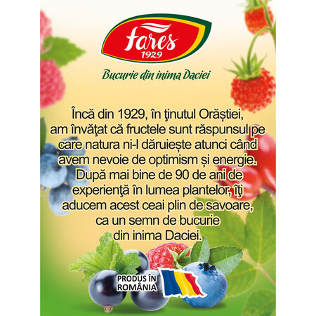 Ceai cu Fructe de padure, 20 plicuri, Fares 604321