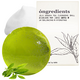 Sapun gelatinos de curatare cu extract de ceai verde din insula Jeju, 110 g, ongredients 642500