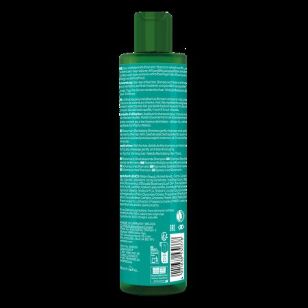 Sampon revitalizant cu rozmarin, 250 ml, Weleda 680620