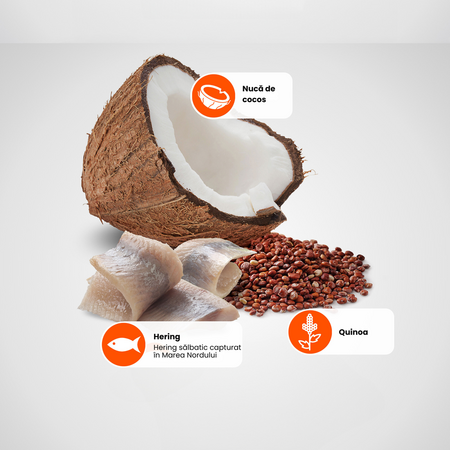 Hrana umeda cu hering, quinoa si nuca de cocos pentru caini N&D Quinoa Skin & Coat, 140 g, Farmina 699267