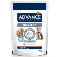 Hrana umeda cu pui pentru caini si pisici Recovery, 100 g, Advance Veterinary Diets