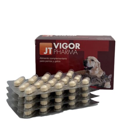 Vigor, 60 comprimate, JT Pharma 649429