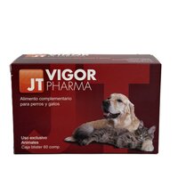 Vigor, 60 comprimate, JT Pharma