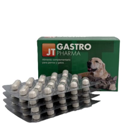 Gastro, 60 comprimate, JT Pharma 649472