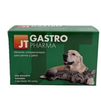 Gastro, 60 comprimate, JT Pharma