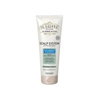 Sampon anti-matreata Scalp System Il Salone, 250 ml, Alfaparf