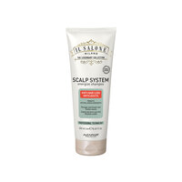Sampon impotriva caderii parului Scalp System Il Salone, 250 ml, Alfaparf