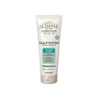 Sampon anti-sebum Scalp System Il Salone, 250 ml, Alfaparf