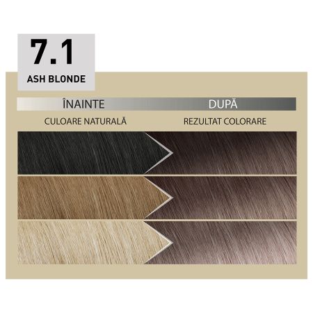 Vopsea de par permanenta 7.1 Ash Blonde Plex Rebuilder Il Salone, 43 ml+70 ml+15 ml+15 ml, Alfaparf 650037