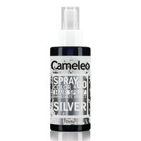 Spray colorant pentru par nuanta Silver Spray&go, 150 ml, Delia Cosmetics