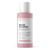 Sampon pentru par deteriorat Repair, 100 ml, By Veira