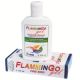 Gel relaxant muscular cu extracte din plante Flamingo, 175 ml, Elidor 706719