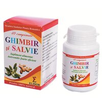 Ghimbir si Salvie, 40 comprimate, Elidor