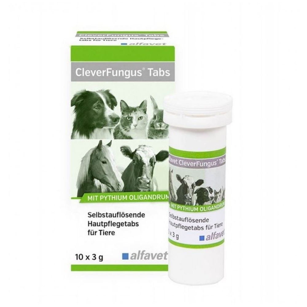 Clever Fungus, 10 tablete, Alfavet