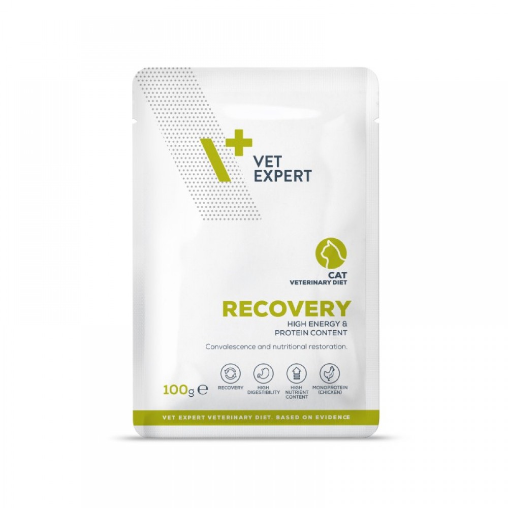 Hrana umeda pentru pisici Recovery Cat, 100 g, VetExpert