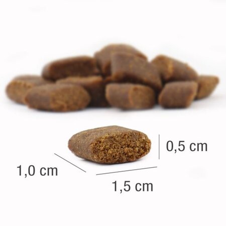 Hrana uscata cu Iberico pentru caini adulti Adult Dog, 1,5 kg, Platinum 655559