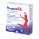 Magnum B6, 20 plicuri, Sun Wave Pharma 656727