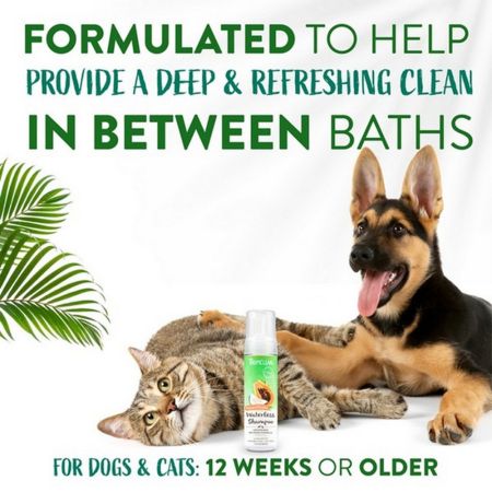 Sampon fara clatire cu pepene verde pentru caini si pisici Grooming, 220 ml, Tropiclean 658379