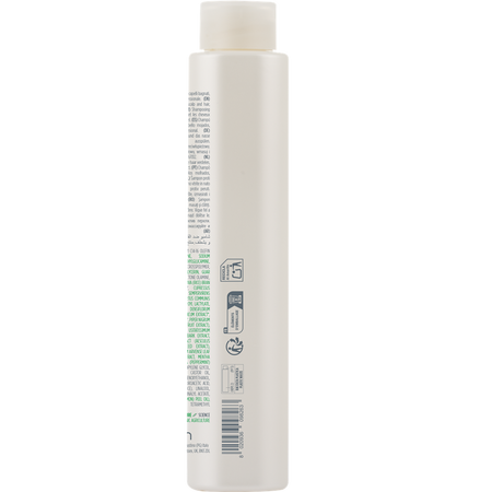 Sampon anti-matreata Actyva Purezza, 250 ml, Kemon 659916