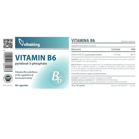 Vitamina B6, 60 capsule, Vitaking 704568