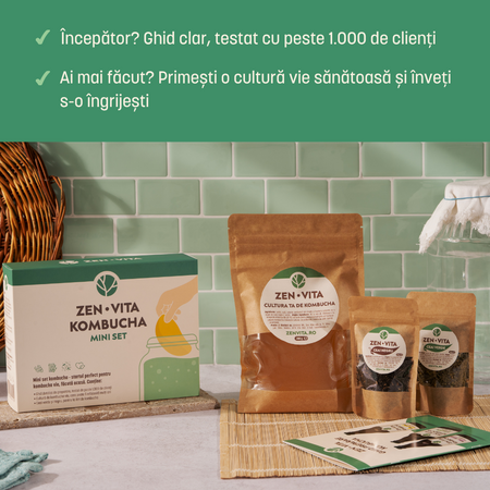Mini kit Kombucha, 330 g, Zenvita 661369