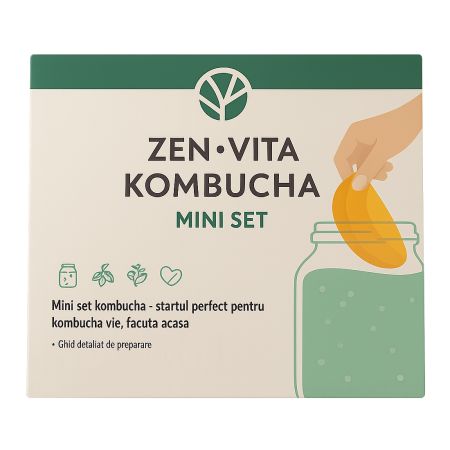 Mini set Kombucha, 330 g, Zenvita