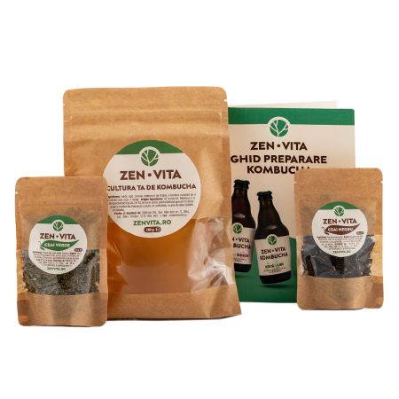 Mini kit Kombucha, 330 g, Zenvita 661366