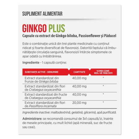 Ginkgo Plus, 30 capsule, Parapharm 690184