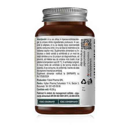 Ashwagandha, 400 mg, 60 capsule vegetale, Hyllan Pharma 663487