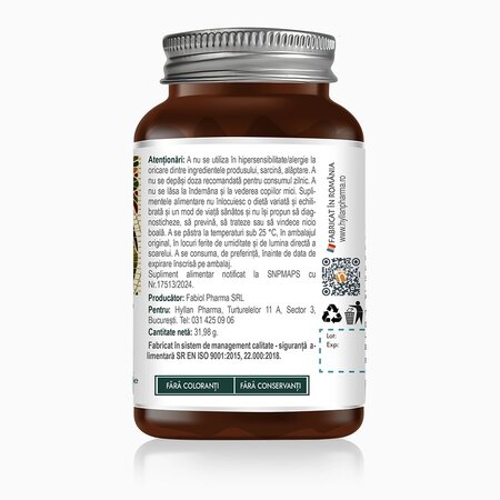 Schinduf, 400 mg, 60 capsule vegetale, Hyllan Pharma 663739