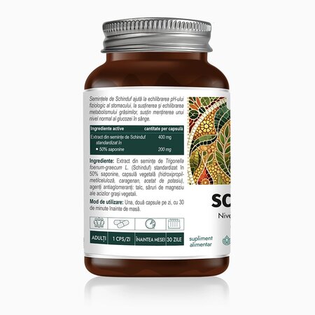 Schinduf, 400 mg, 60 capsule vegetale, Hyllan Pharma 663738