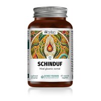 Schinduf, 400 mg, 60 capsule vegetale, Hyllan Pharma