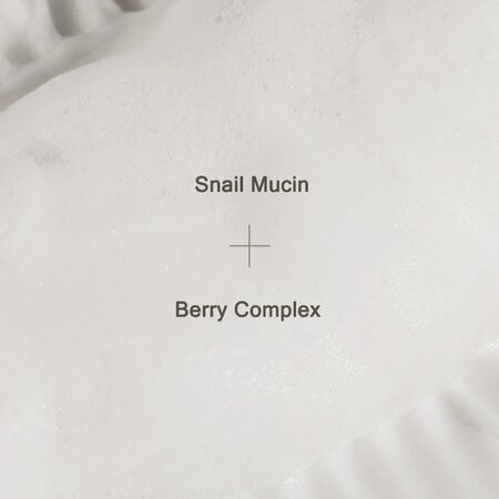 Spuma de curatare cu secretie de melc Snail, 60 ml, Mizon 666656