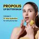 Masca de buze hidratanta cu miere Propolis, 15 ml, CNP Laboratory 667001