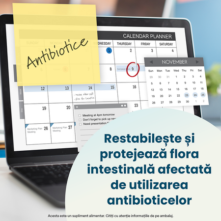 Enterogermina Forte suspensie orala, 10 flacoane, Sanofi 669768