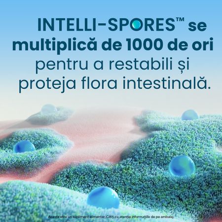 Enterogermina Forte suspensie orala, 10 flacoane, Sanofi 669766