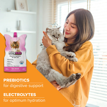 Bautura prebiotica cu somon pentru pisici,, 250 ml, KittyRade 669022